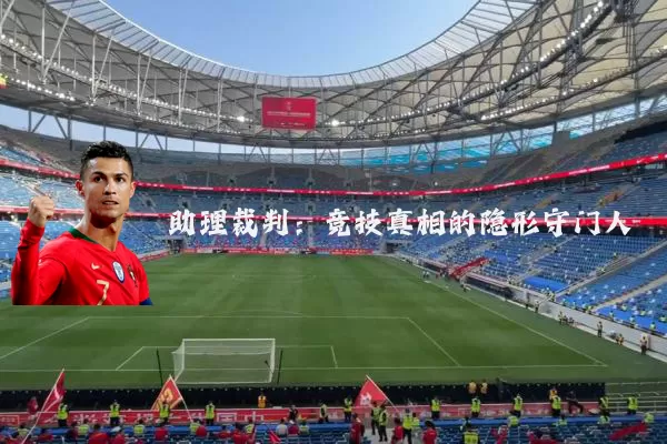 助理裁判:竞技真相的隐形守门人